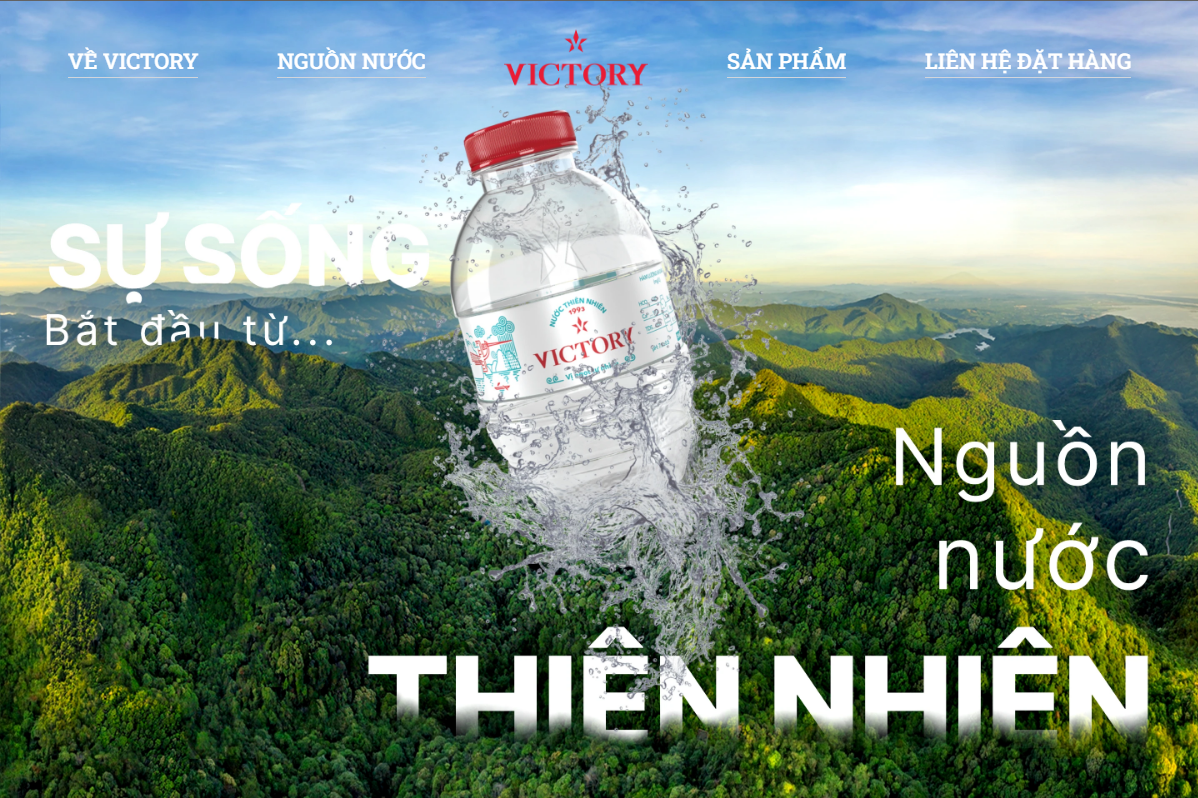 lĩnh vực hoạt động